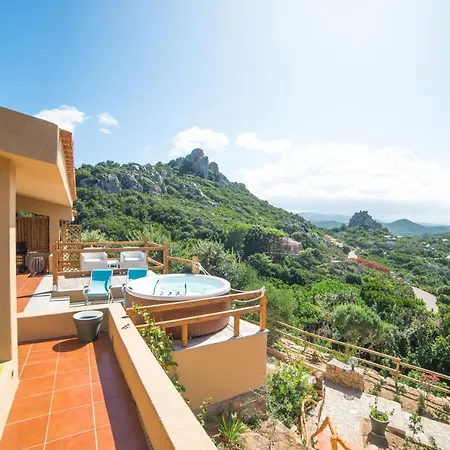 Aloe 코스타 파라디소